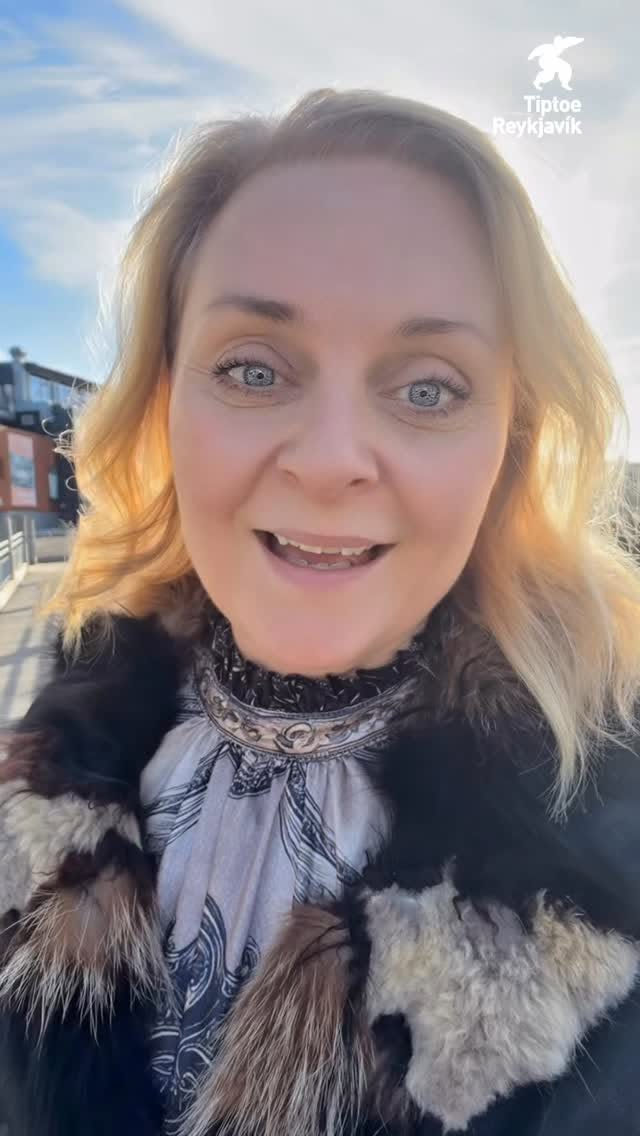 Grandi Harbor District Attractions and Dining in Reykjavík