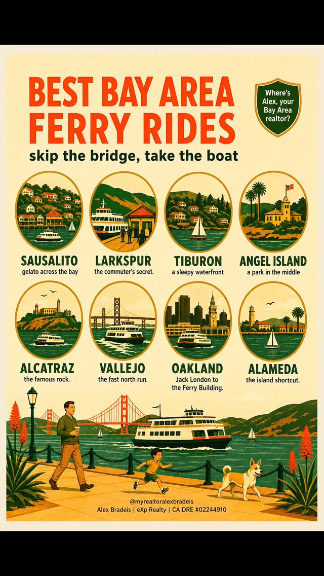 Bay Area Ferry Rides Offer Scenic Day Trips