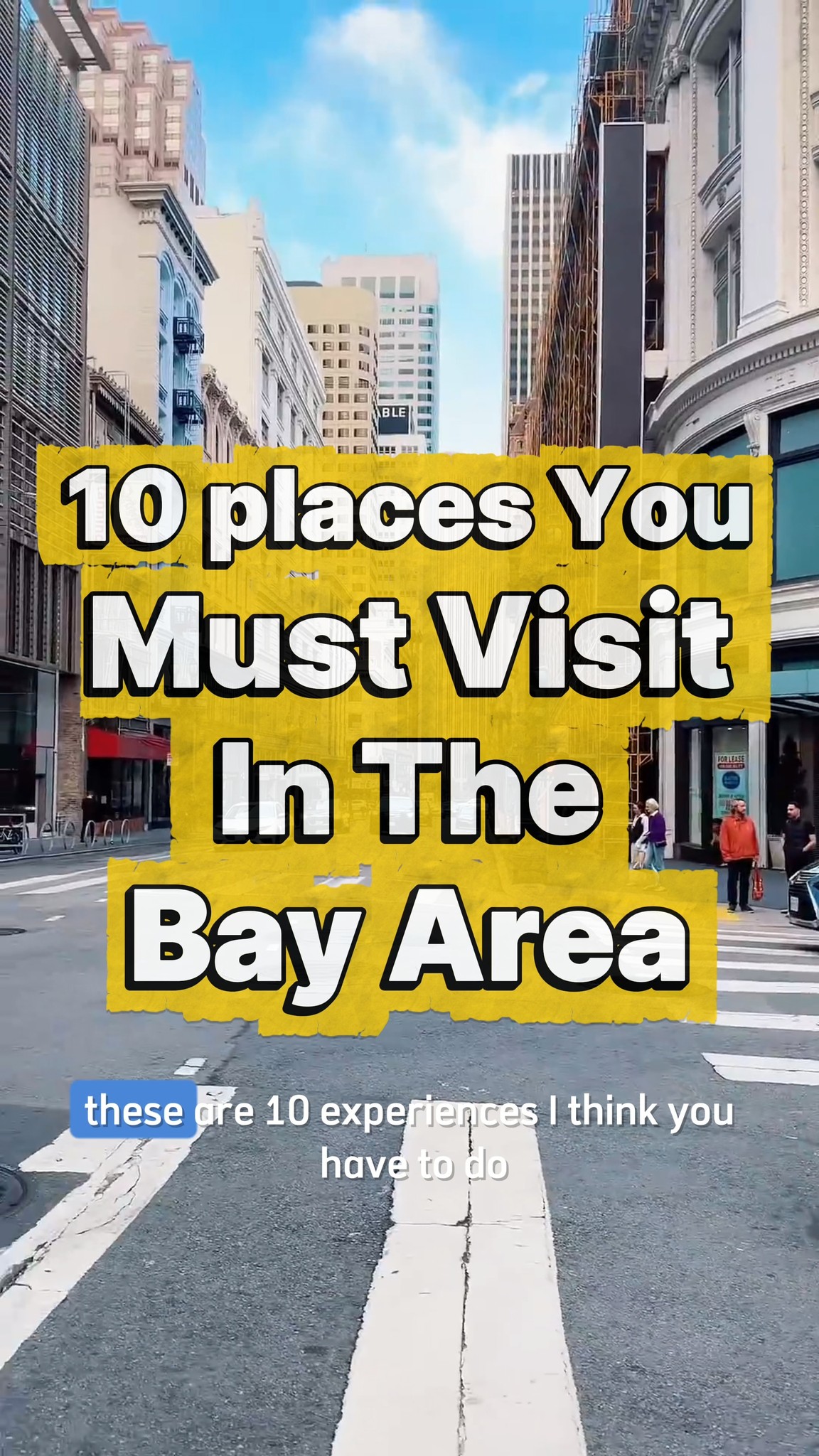 Explore Bay Area's Coastal Cliffs, Redwoods, and City Views