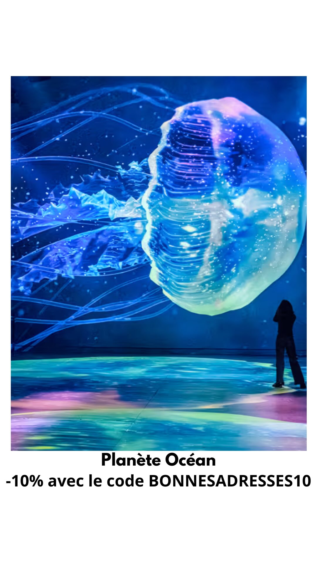 Immersive Ocean Exhibition At Atelier des Lumières