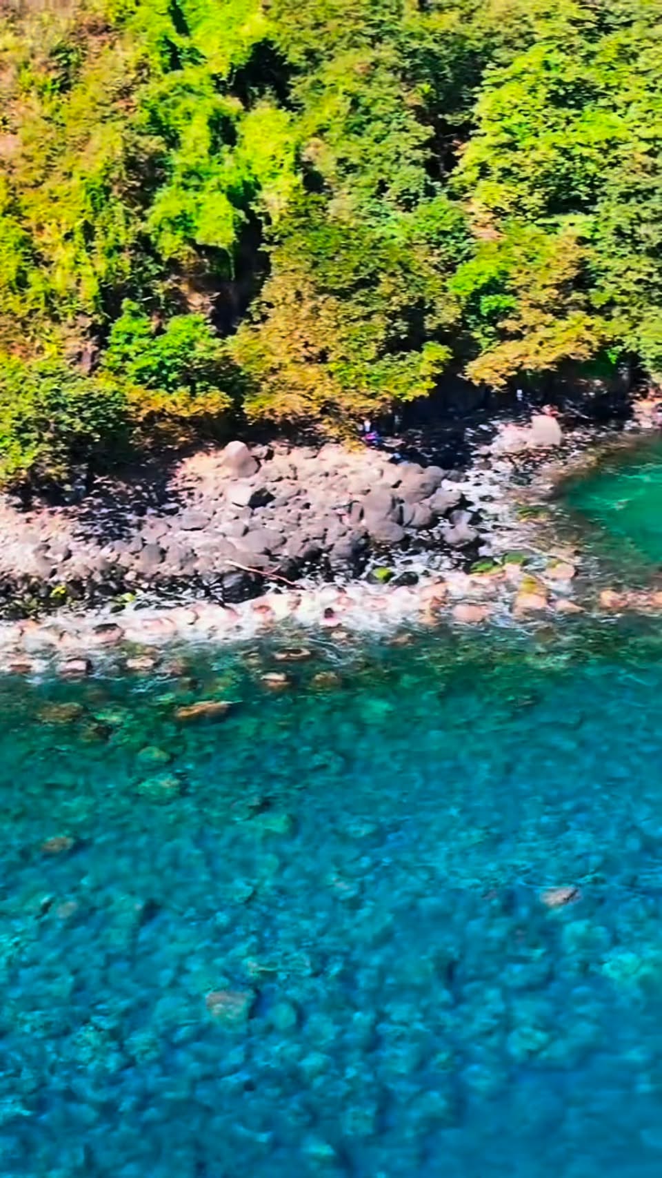 Bassin Vert: Mauritius' Hidden Green Diamond