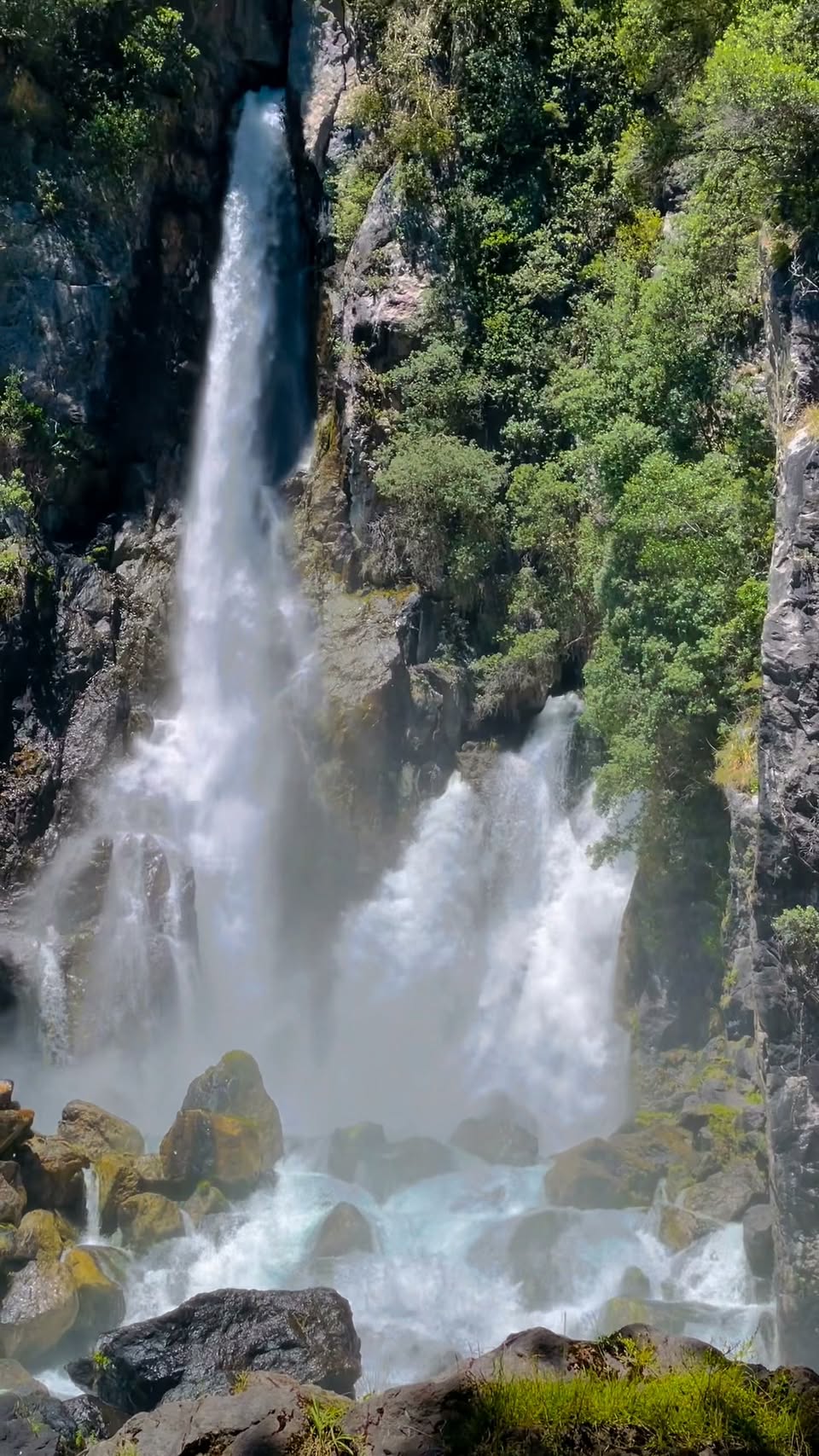 New Zealand's Tarawera Falls and Lake