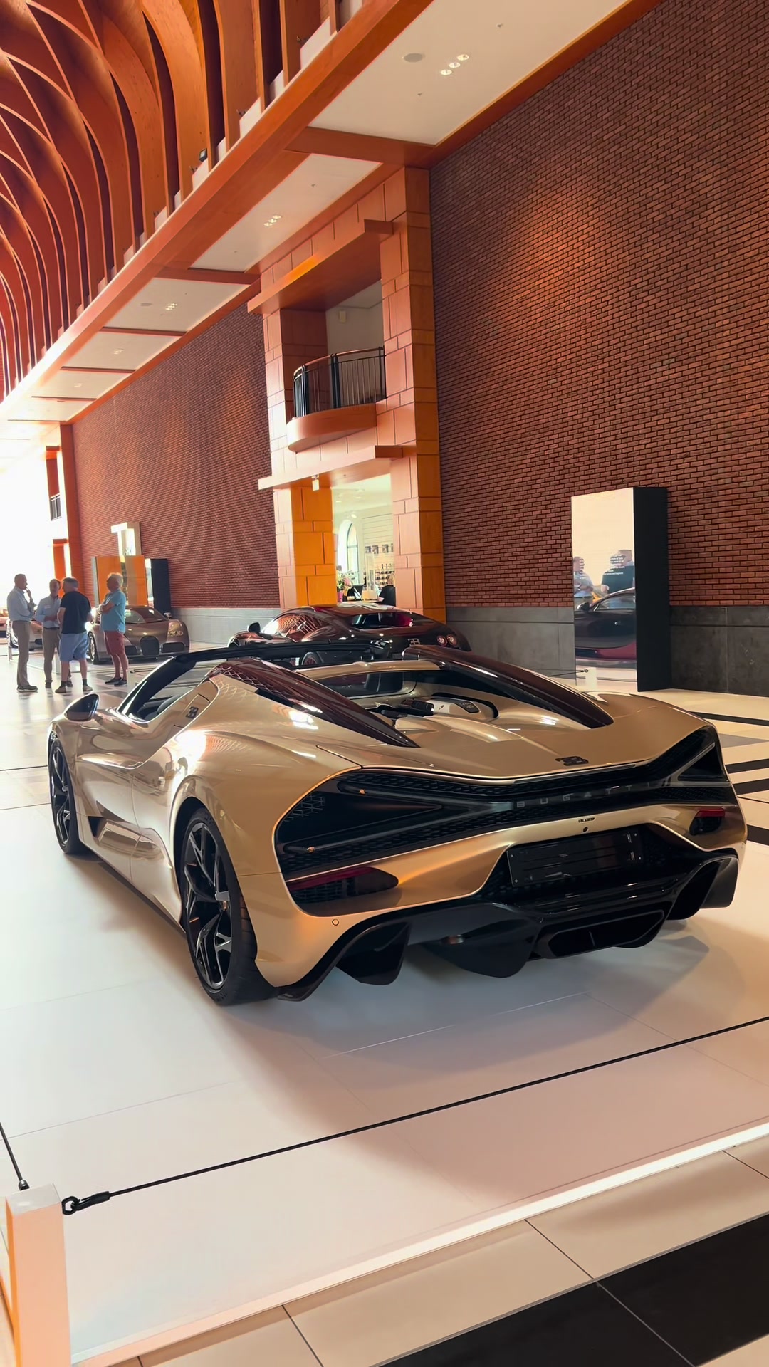 Louwman Museum Features Bugatti Car Exhibition