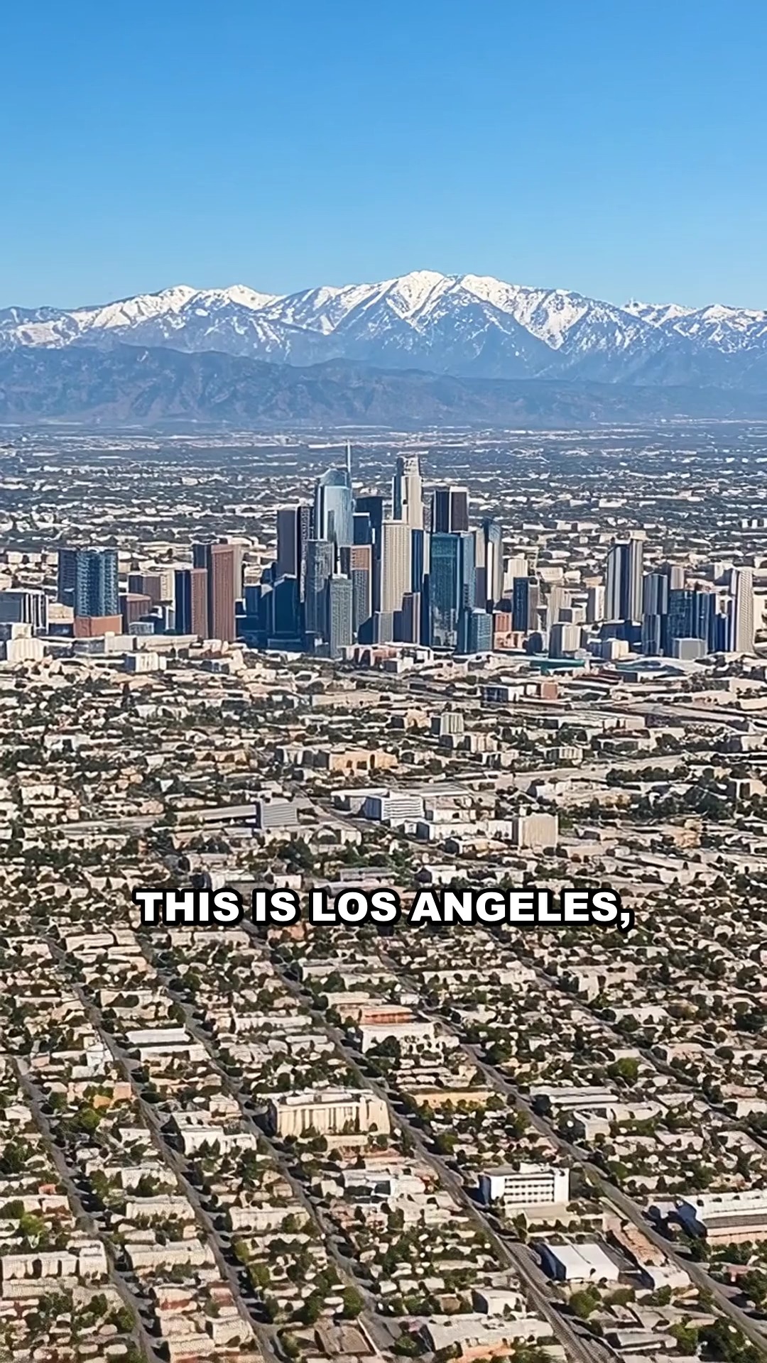 Disguised Oil Wells in Los Angeles Landscapes
