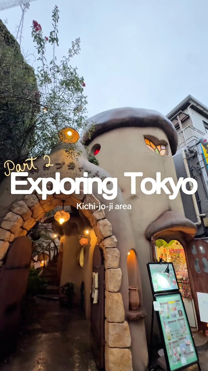 Kichijoji's Yakiniku, Cat Village, and Hamburger Rice