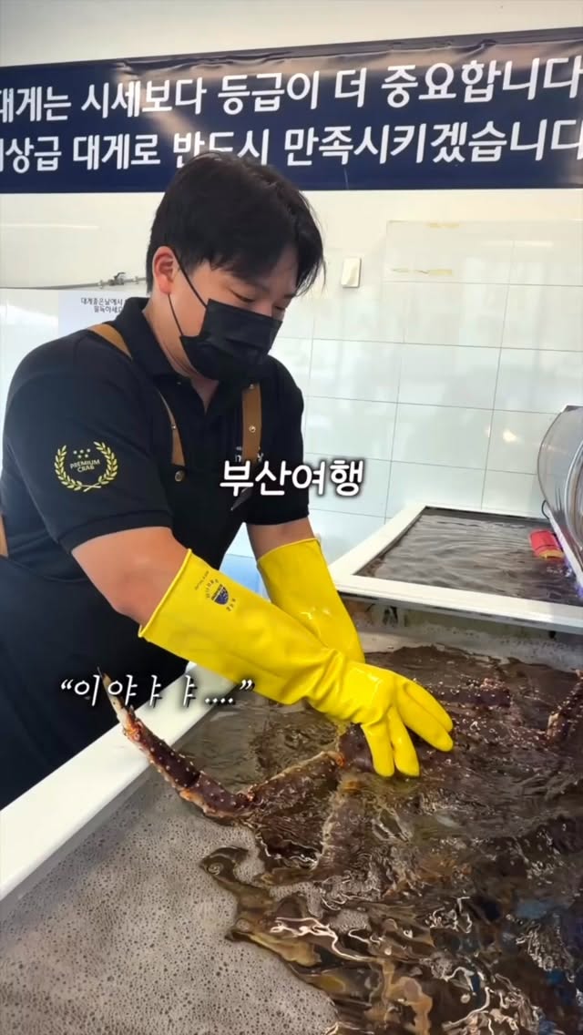 King Crab Restaurant in Busan Offers Diverse Seafood Dishes
