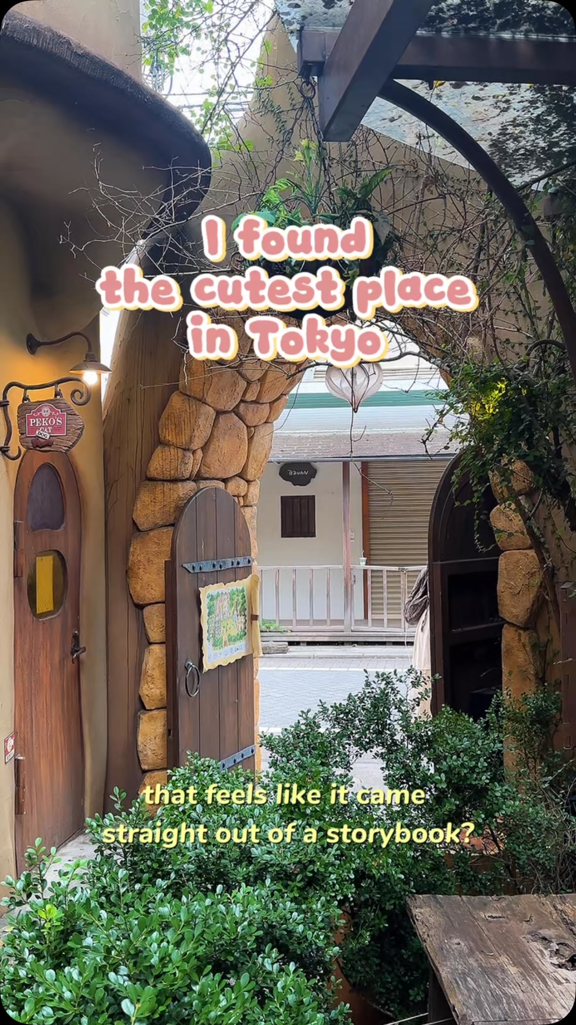 Charming Cat Village in Tokyo's Kichijoji