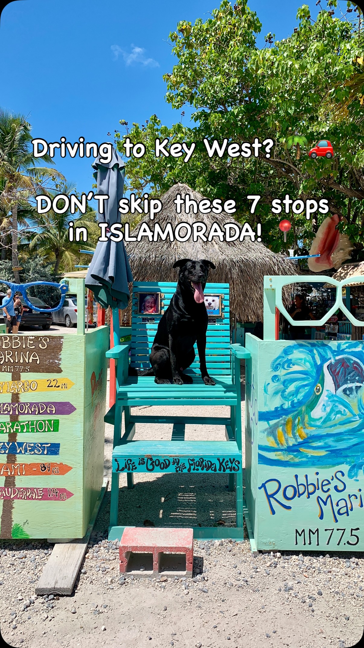 Islamorada: Seven Must-See Florida Keys Destinations