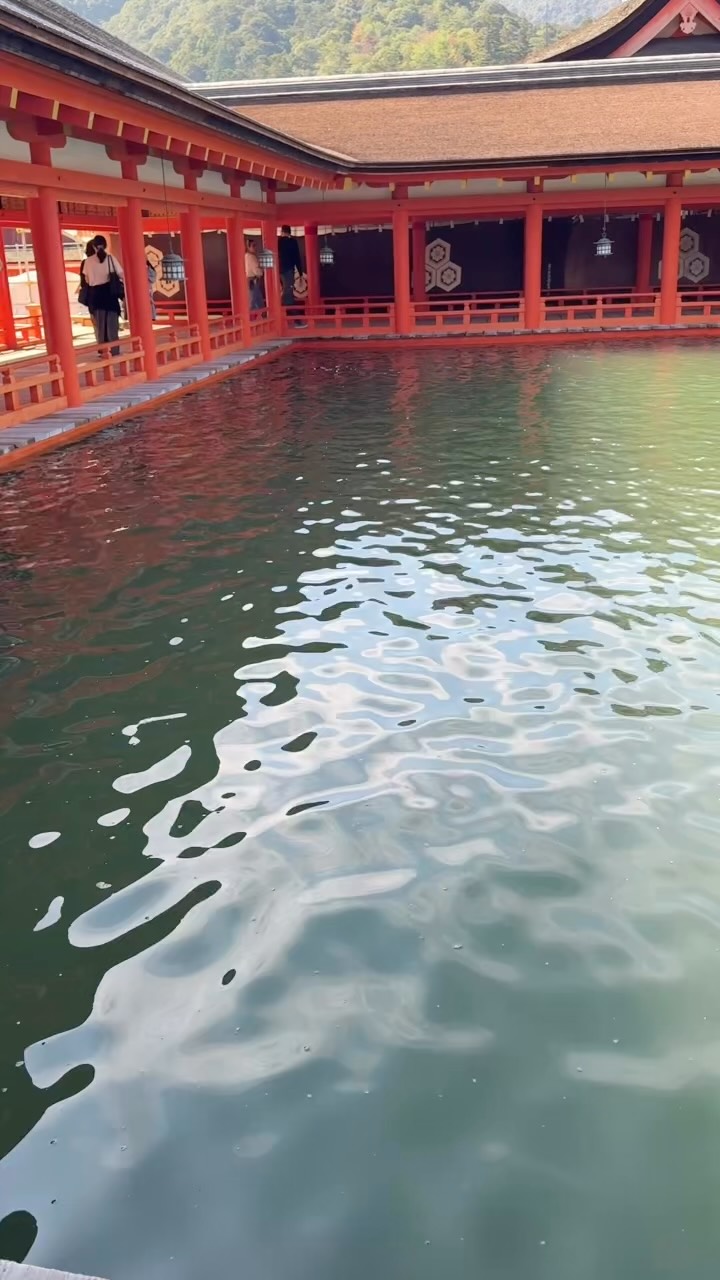 Itsukushima Shrine's Autumn Floating Vermilion Majesty