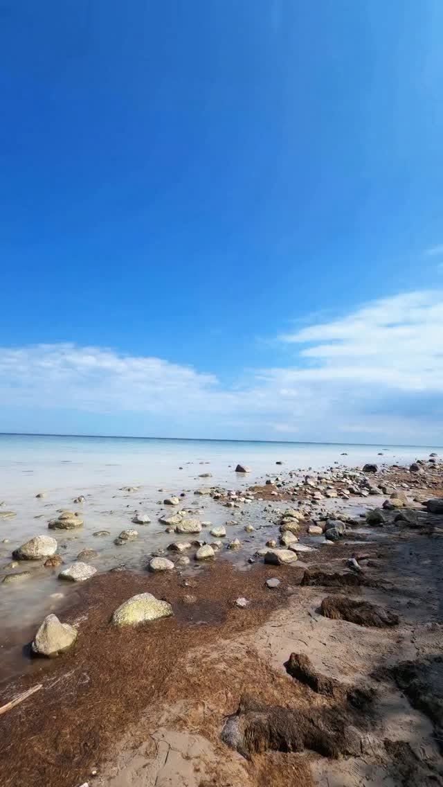 Møns Klint: Denmark's Tropical Cliffs