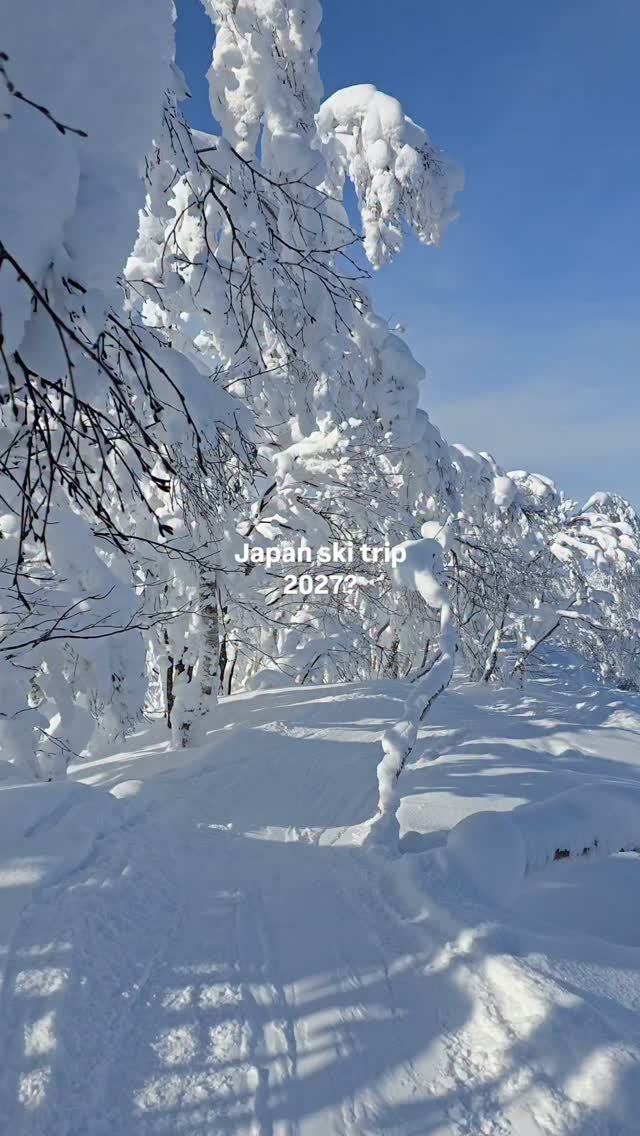 Skiing in Niseko, Hokkaido