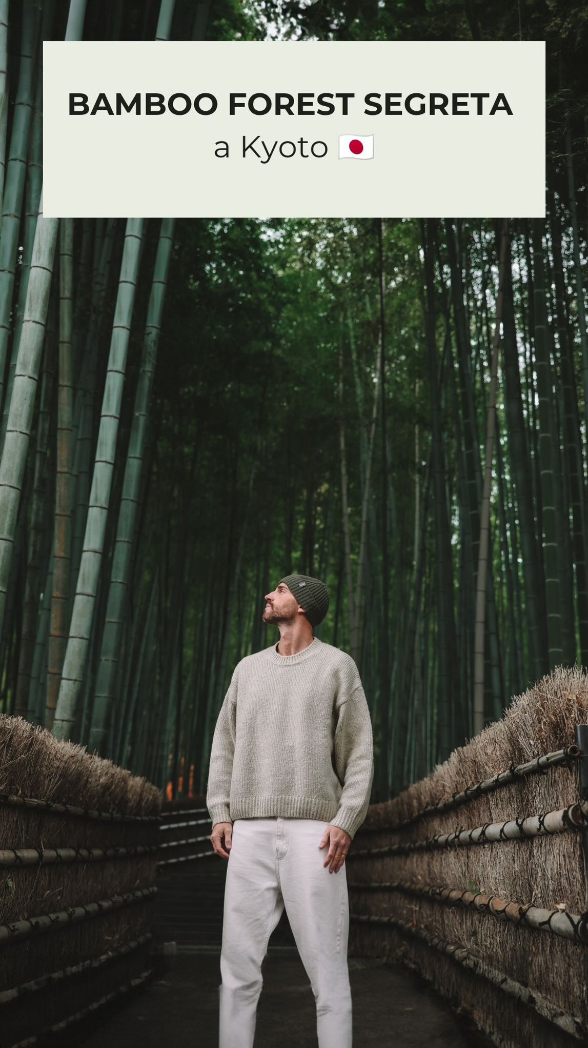 Quieter Kyoto Bamboo Forest Experience