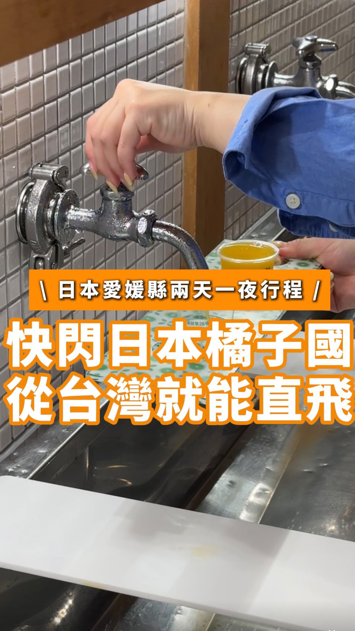 Ehime Prefecture: Hot Springs, Scenic Views, and Tangerines