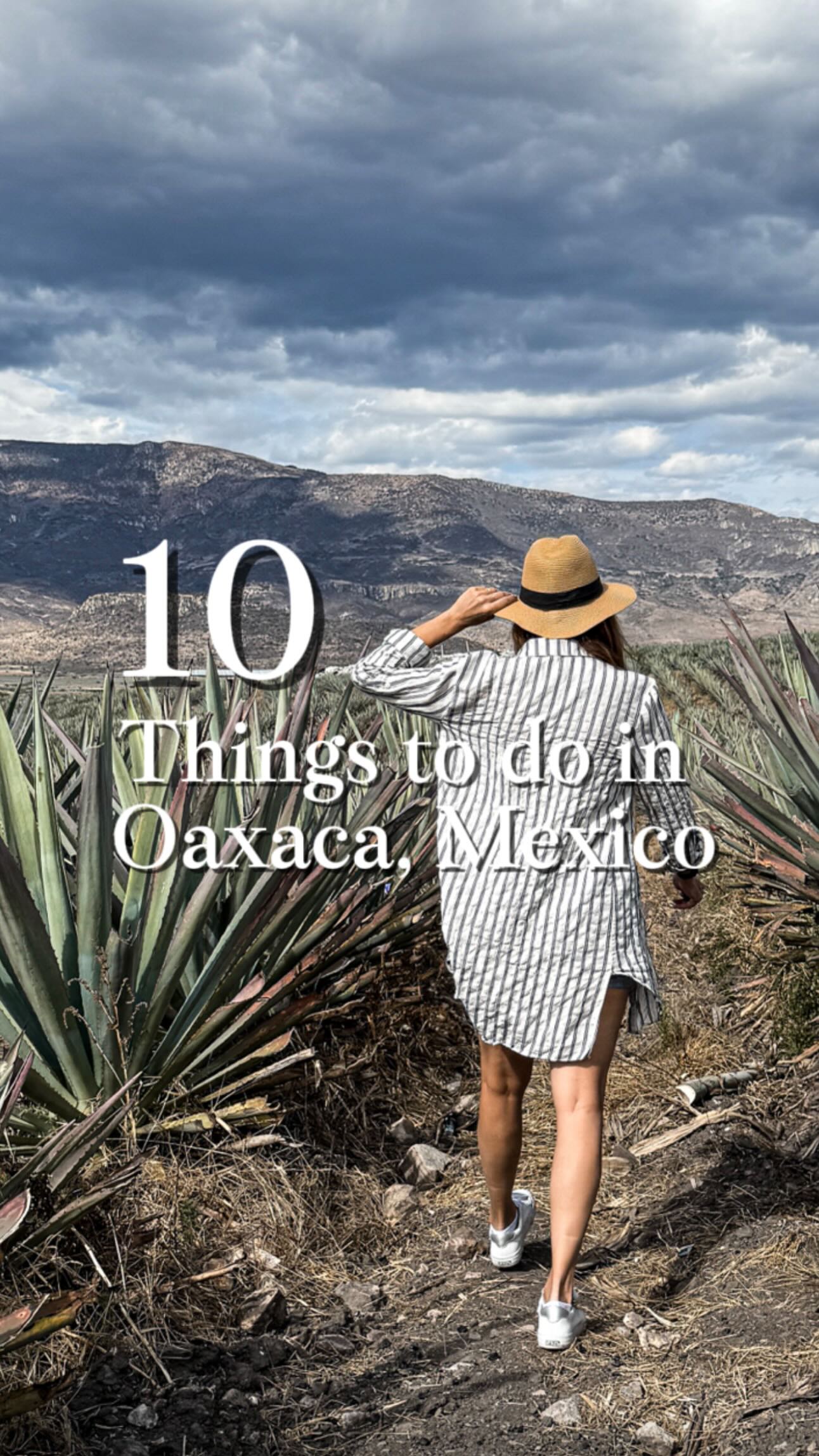 Oaxaca's Top Attractions: Nature, Culture, and History