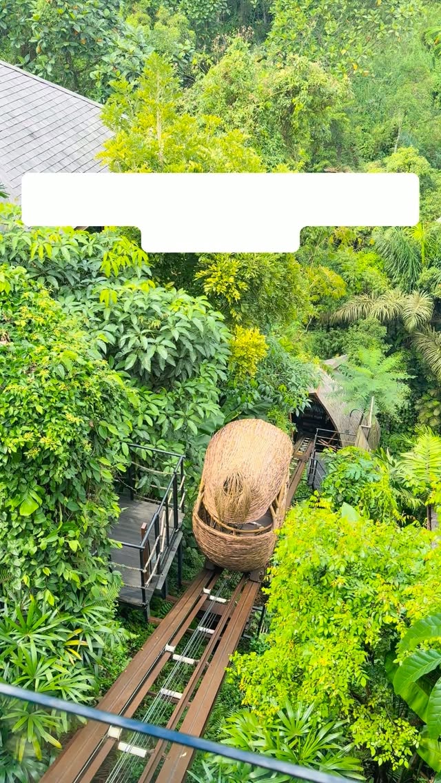 Jungle Spa Experience in Bali's Lush Greenery