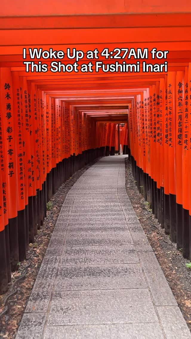 Fushimi Inari Shrine's Torii Gates At Dawn