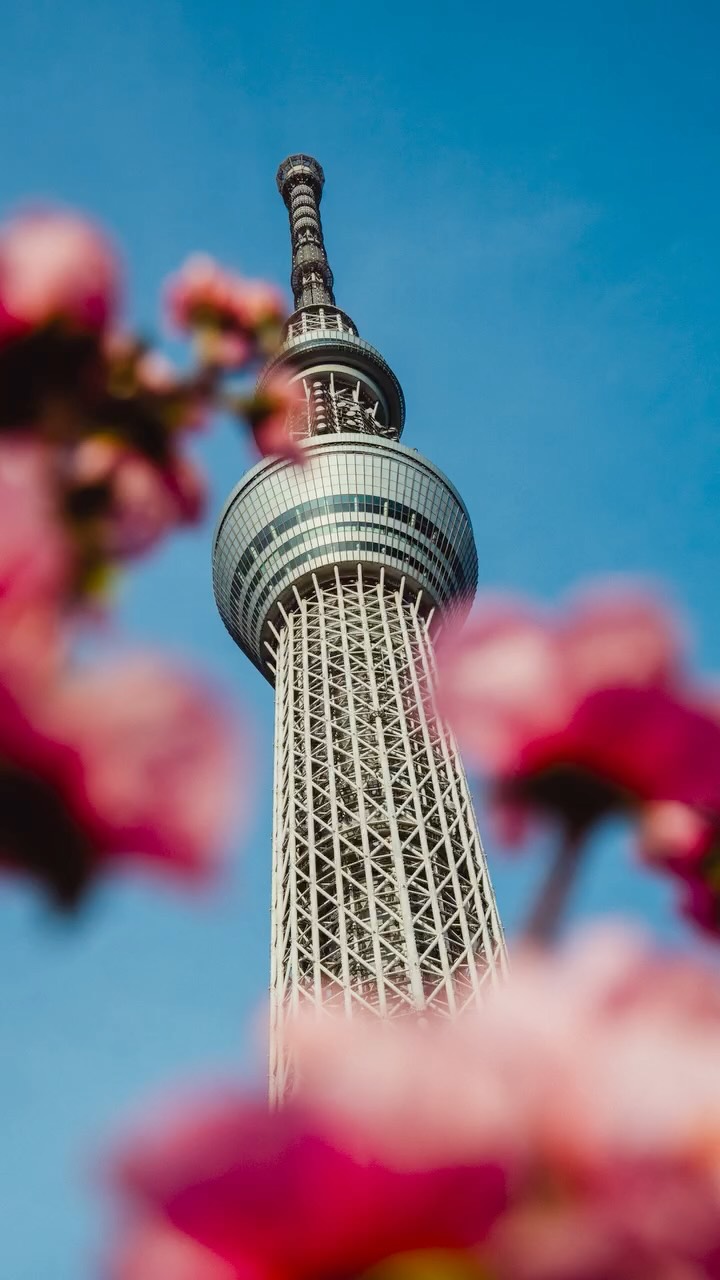 Tokyo Landmarks Photographed With Fake Cherry Blossoms