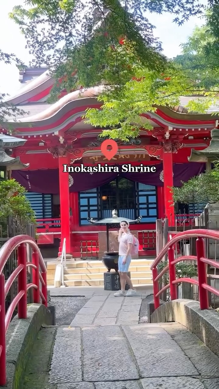 Kichijoji Exploration: Ghibli Village, Cat Cafe, and Food