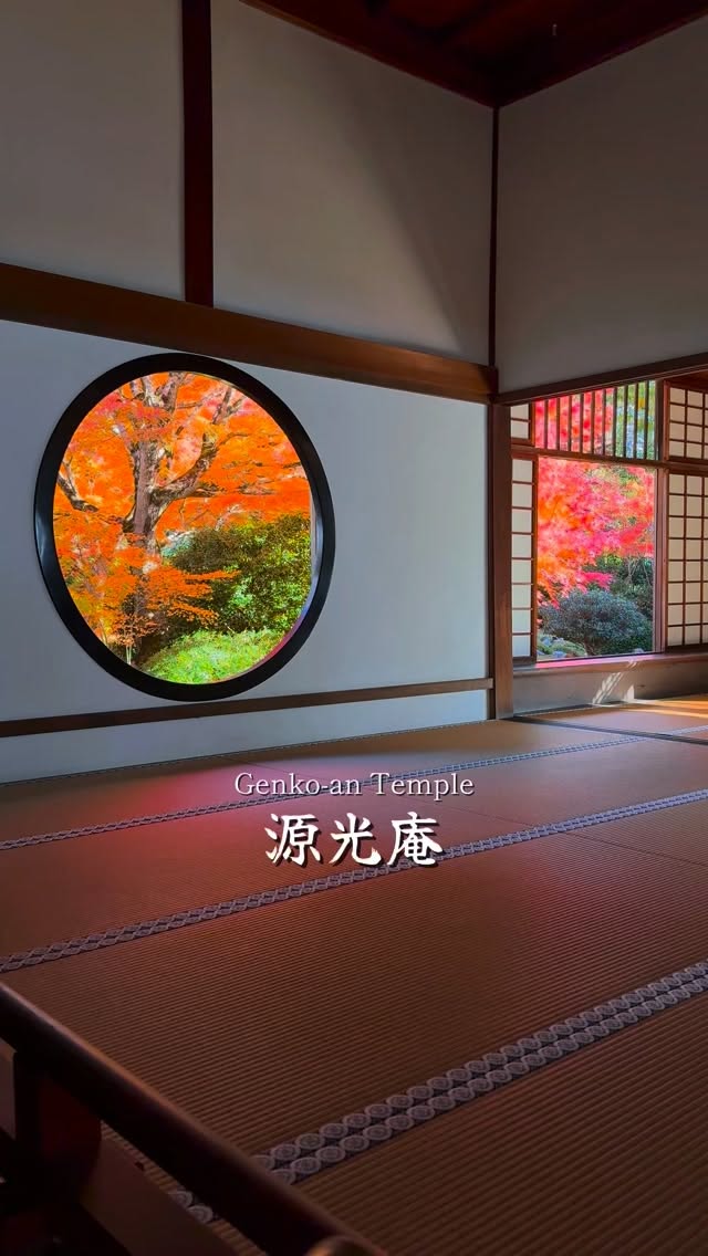 Genko-an Temple's Autumn Colors Through Enlightened Windows