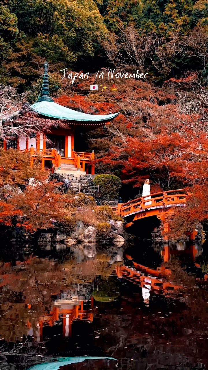 Japan Autumn Foliage and Mount Fuji Itinerary