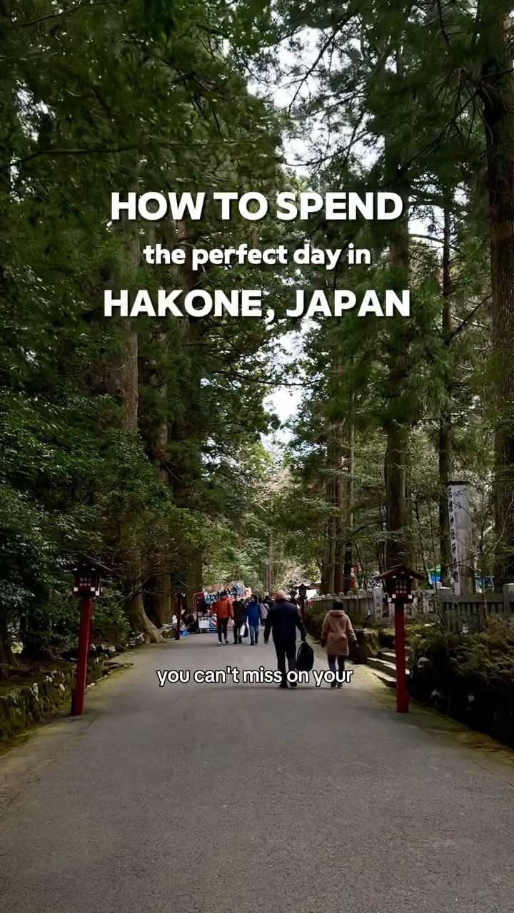 Hakone Day Trip: Volcanoes, Art, and Hot Springs
