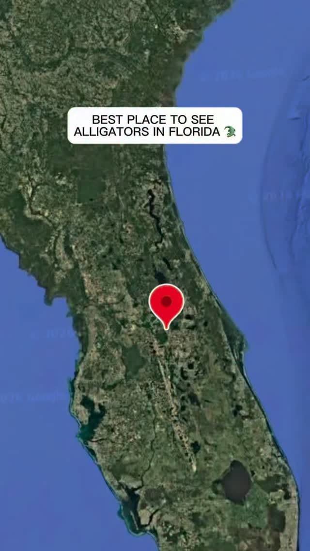 Florida Wildlife Drive Near Walt Disney World