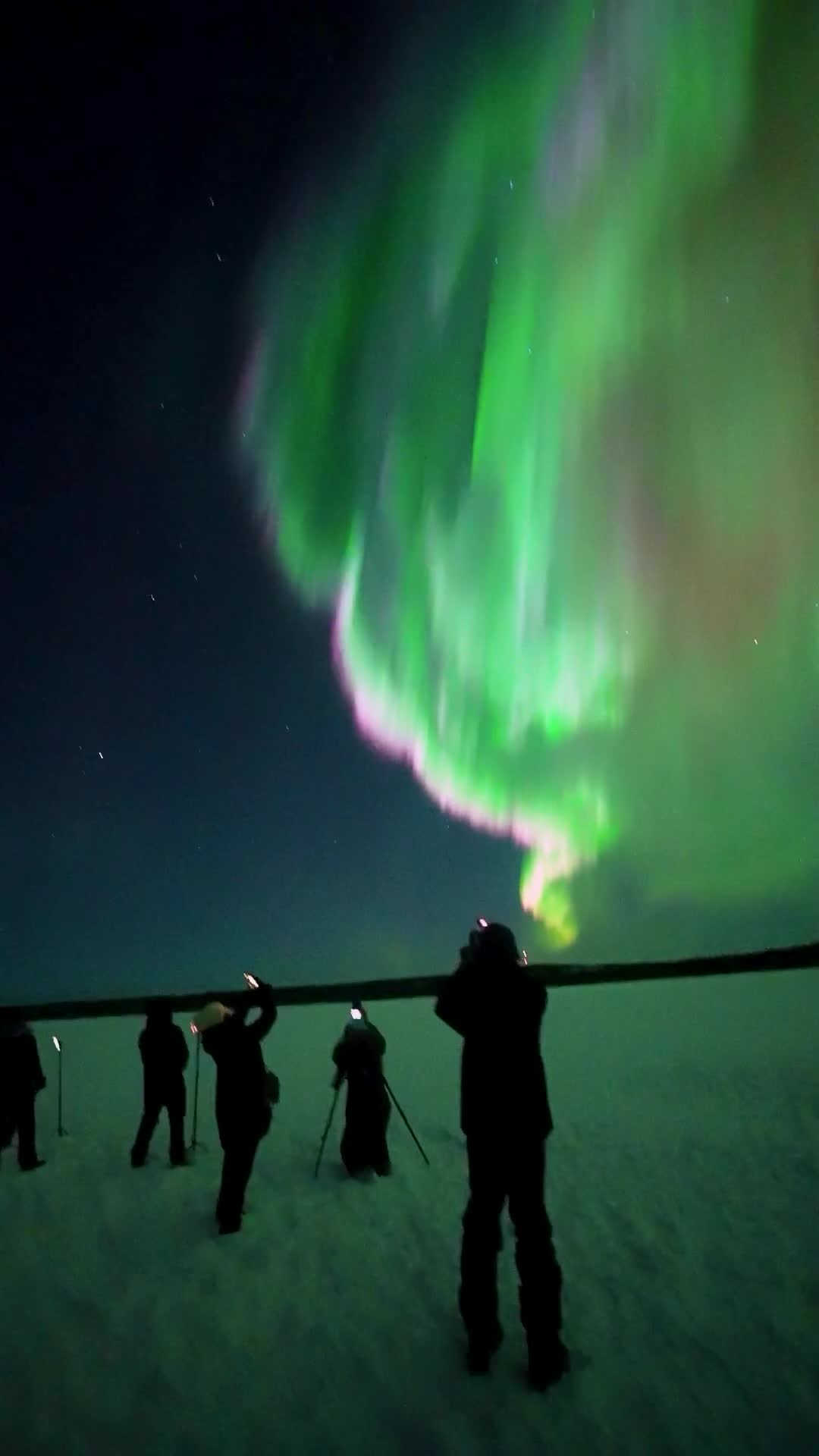 Northern Lights Display in Rovaniemi