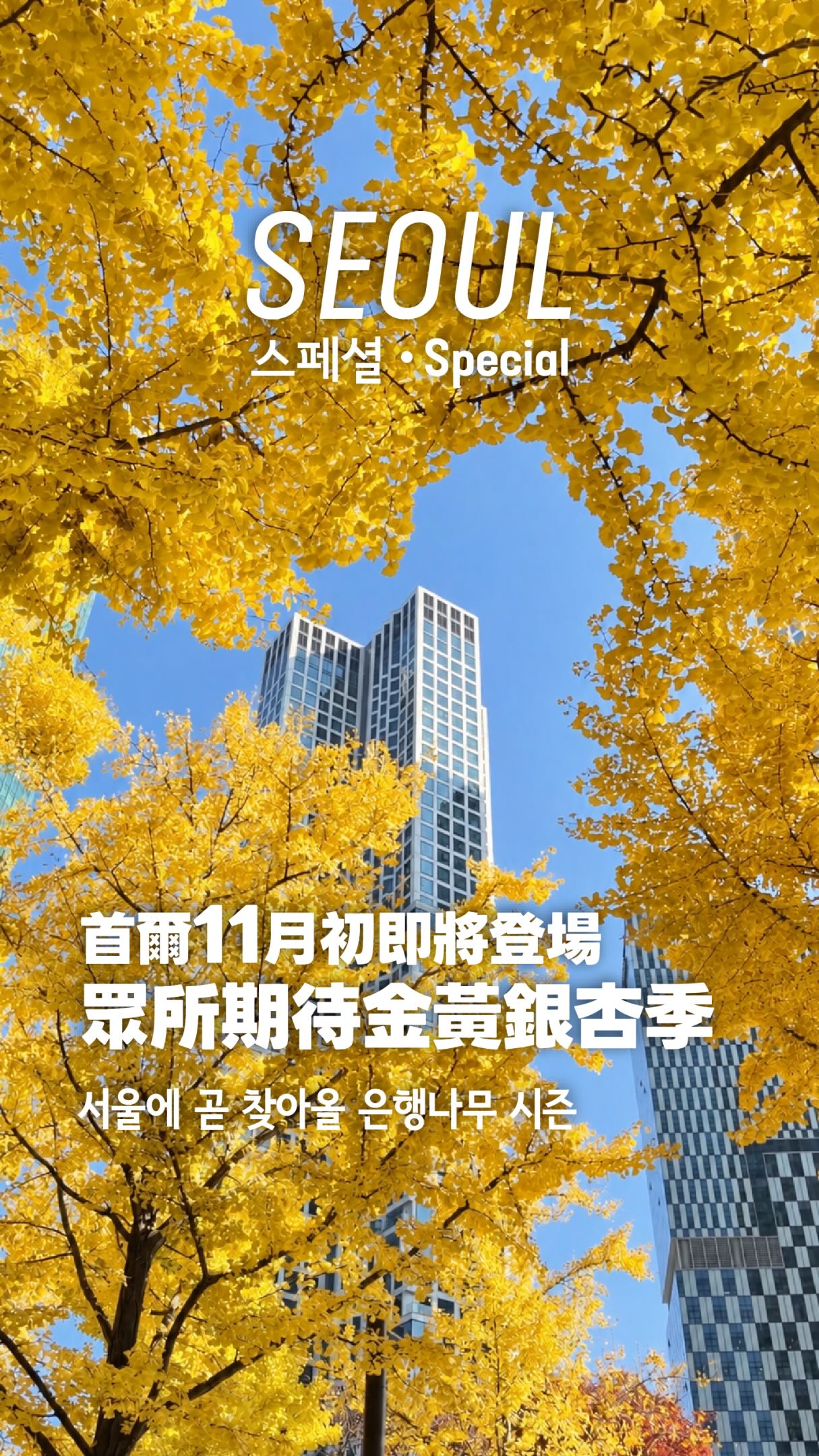 Seoul's Top Spots for Autumn Ginkgo Tree Views