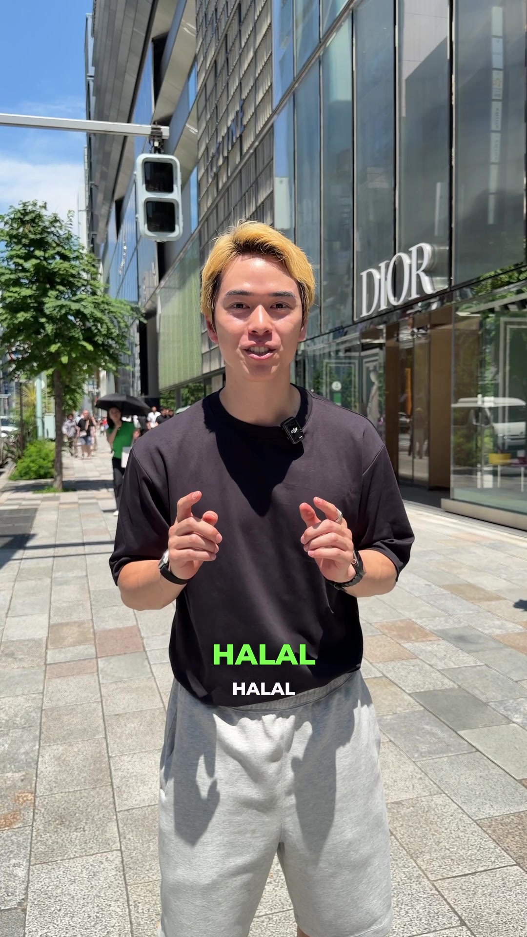 Tokyo Souvenir Shops With Halal Sections
