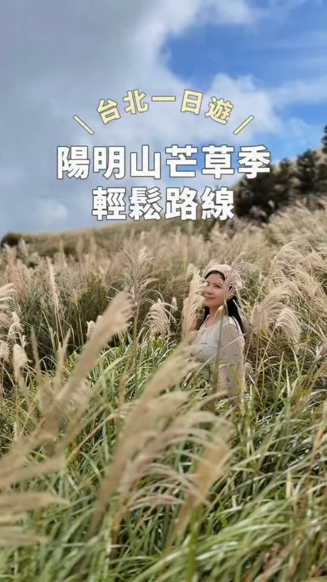 Yangmingshan Silver Grass and Coffee Day Trip