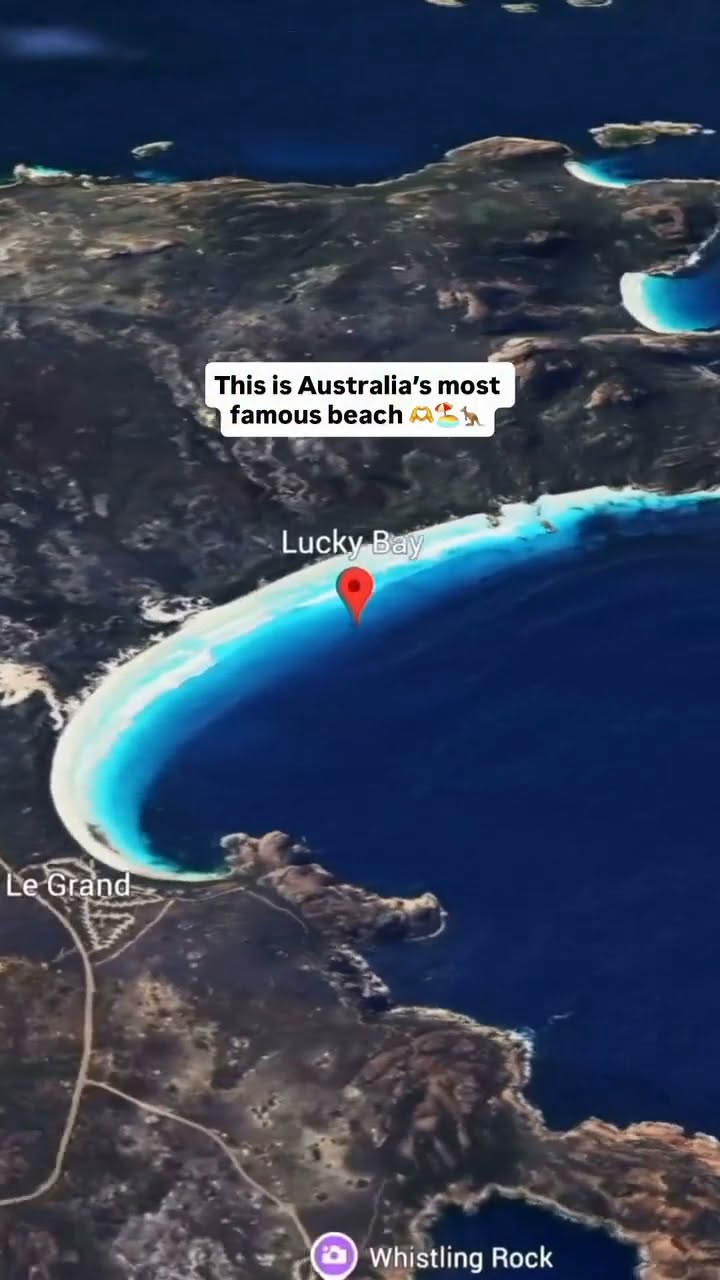 Australian National Park Beaches With Kangaroos