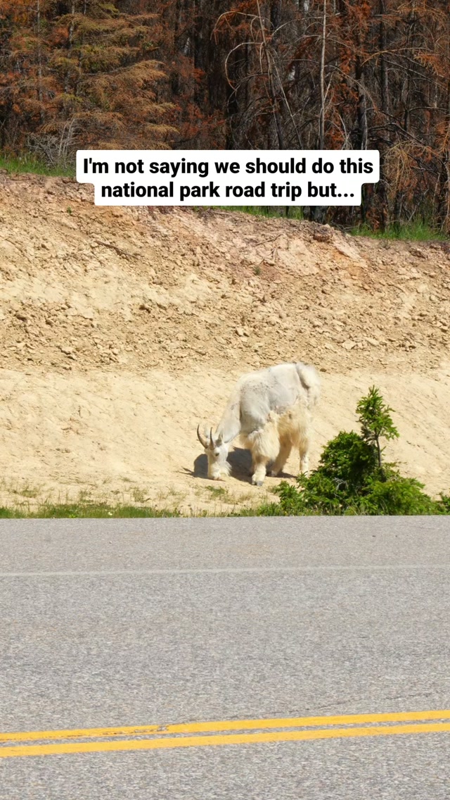 Canadian Rockies National Park Road Trip