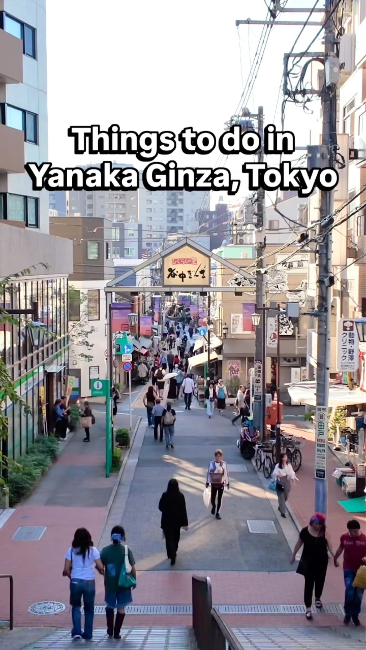 Explore Cat Town's Traditional Charm And Retro Streets
