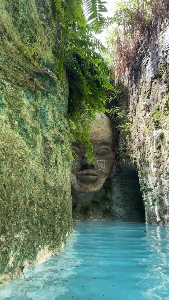Dominican Republic's Natural Wonders Near Punta Cana
