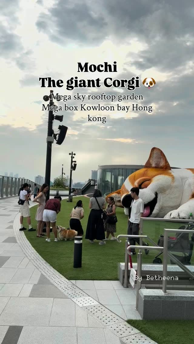 Mega Sky Rooftop Garden Features Giant Corgi