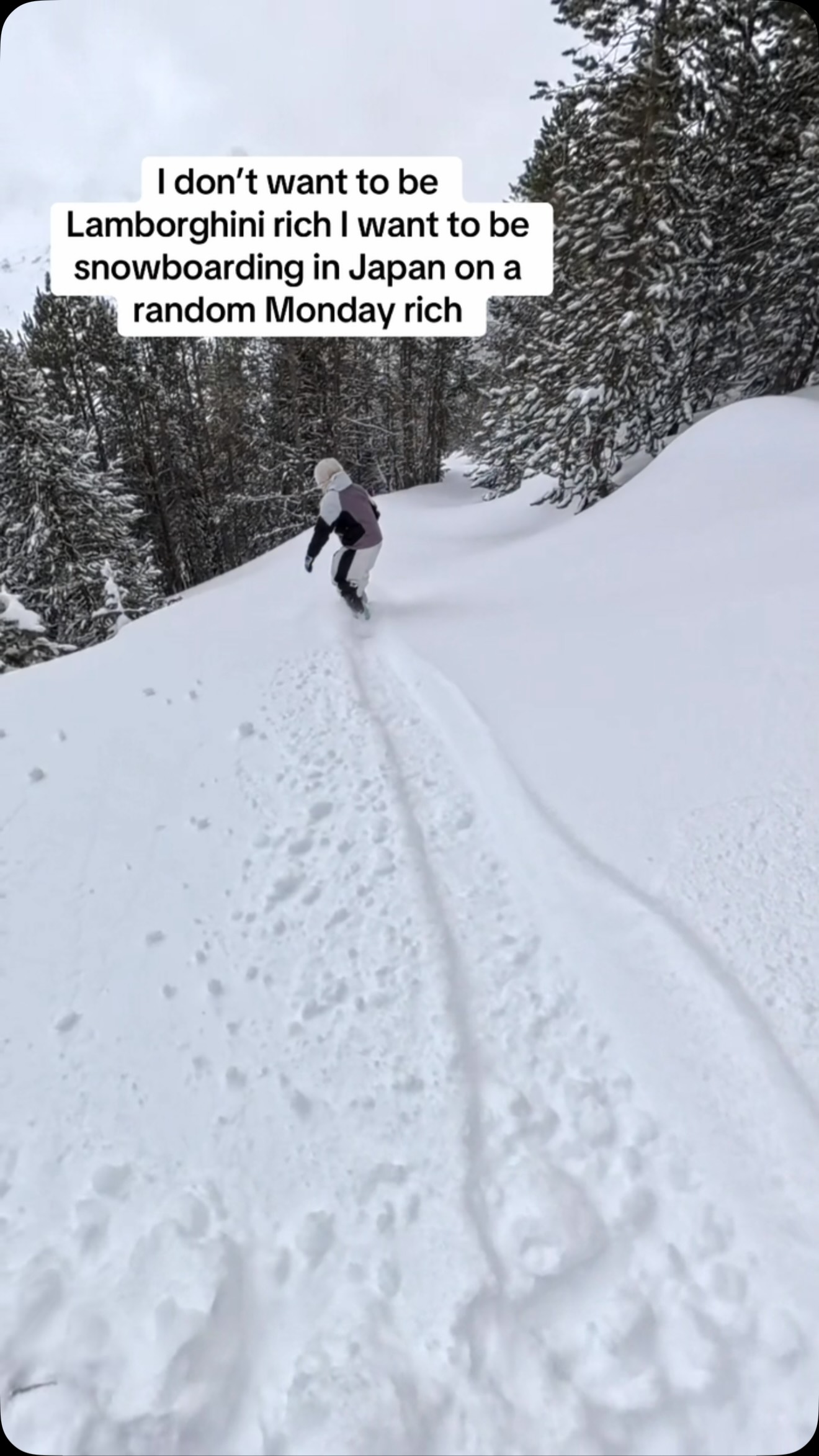 Snowboarding Dreams in Japan