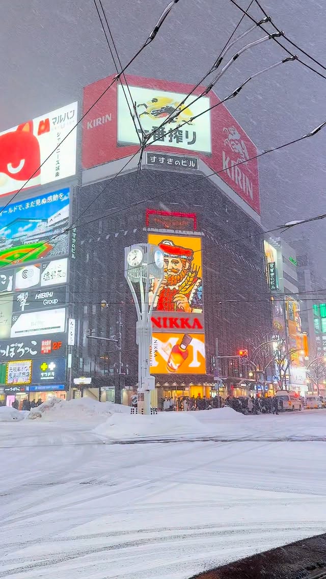 Hokkaido's Winter Wonders: Attractions Across The Region