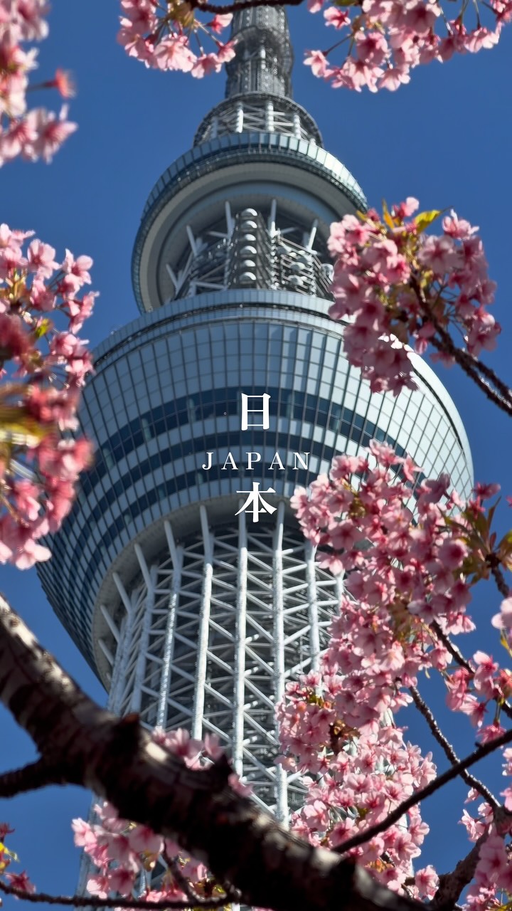 Iconic Japanese Sights From Cities to Nature