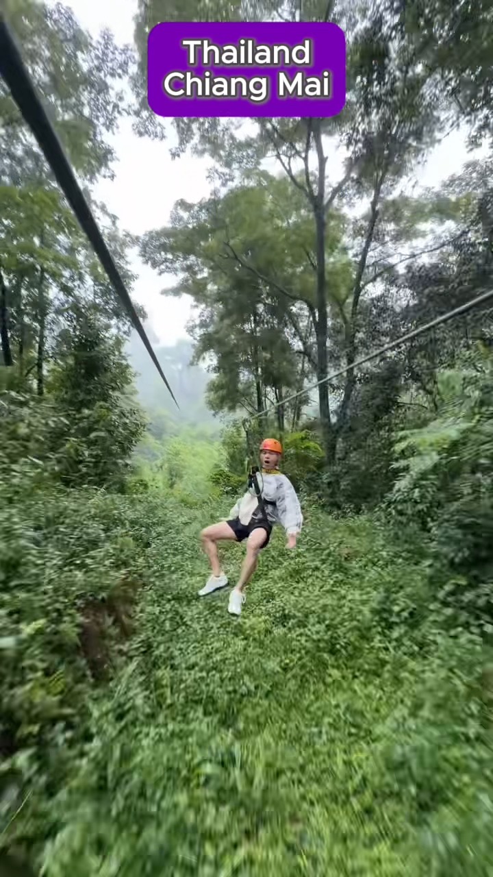 Chiang Mai's Temples, Markets, and Jungle Adventures