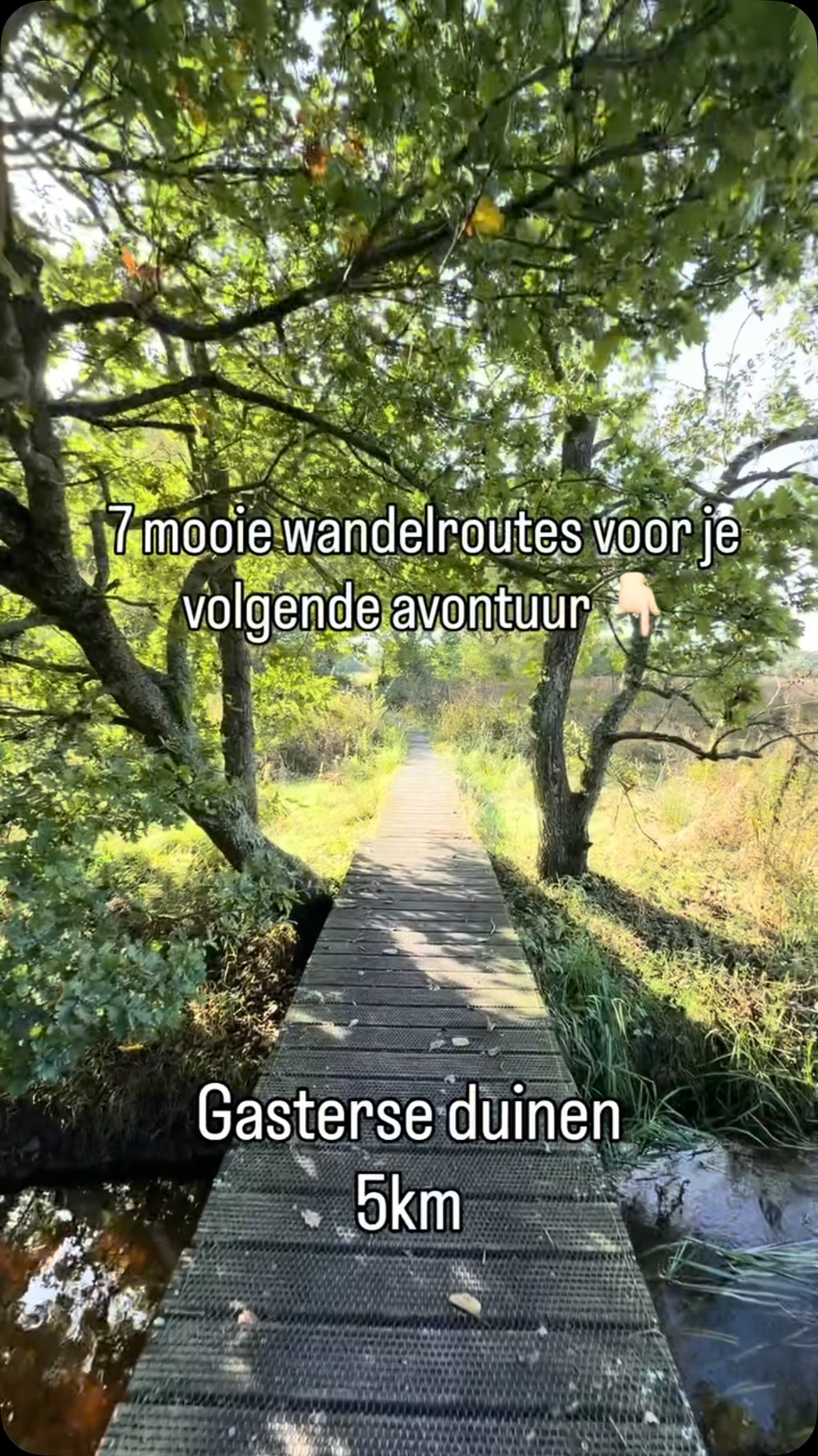 Dutch Hiking Trails With Parking and Dog Information