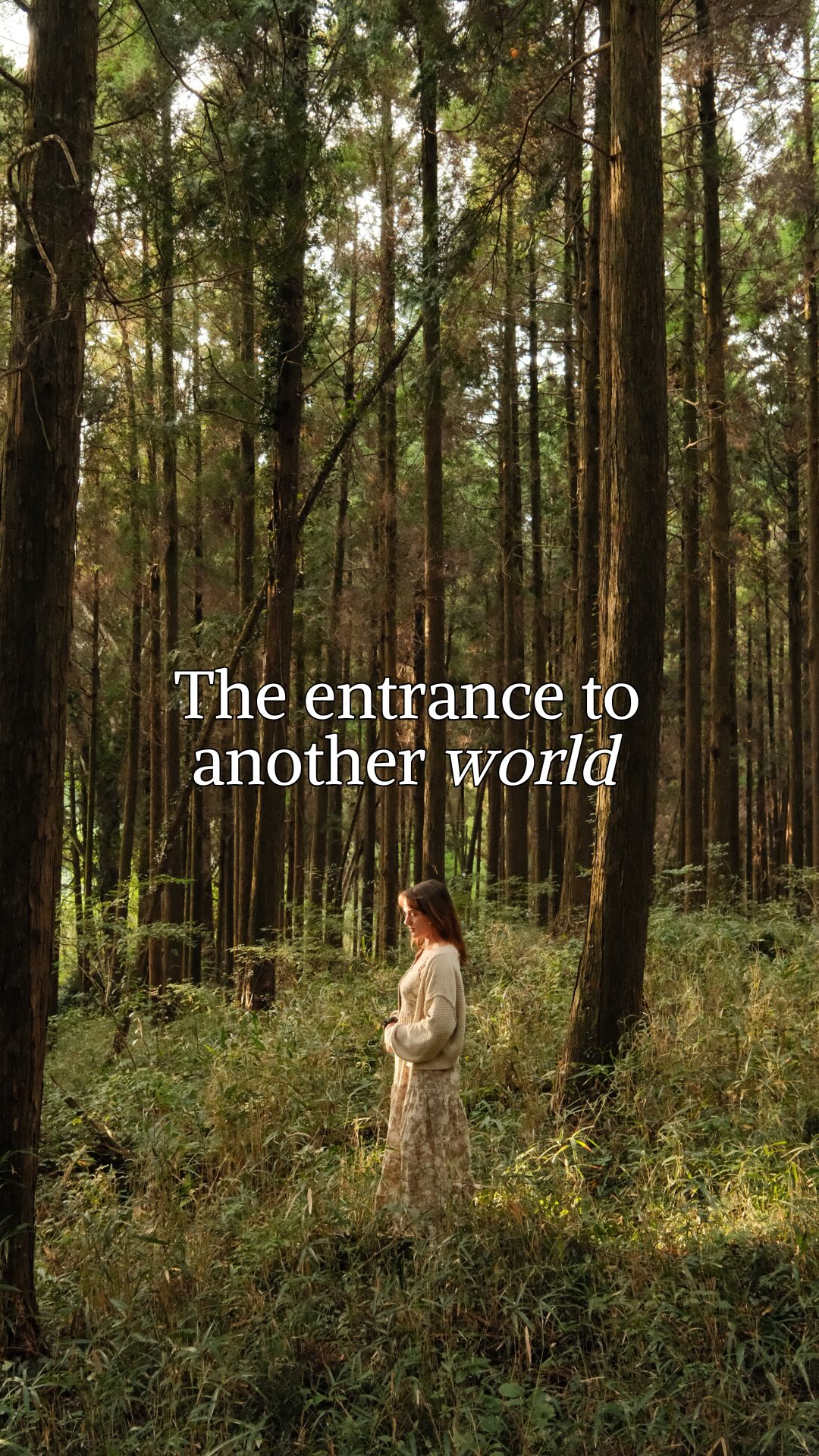 Mystical Kamishikimi Shrine and Takamori Exploration