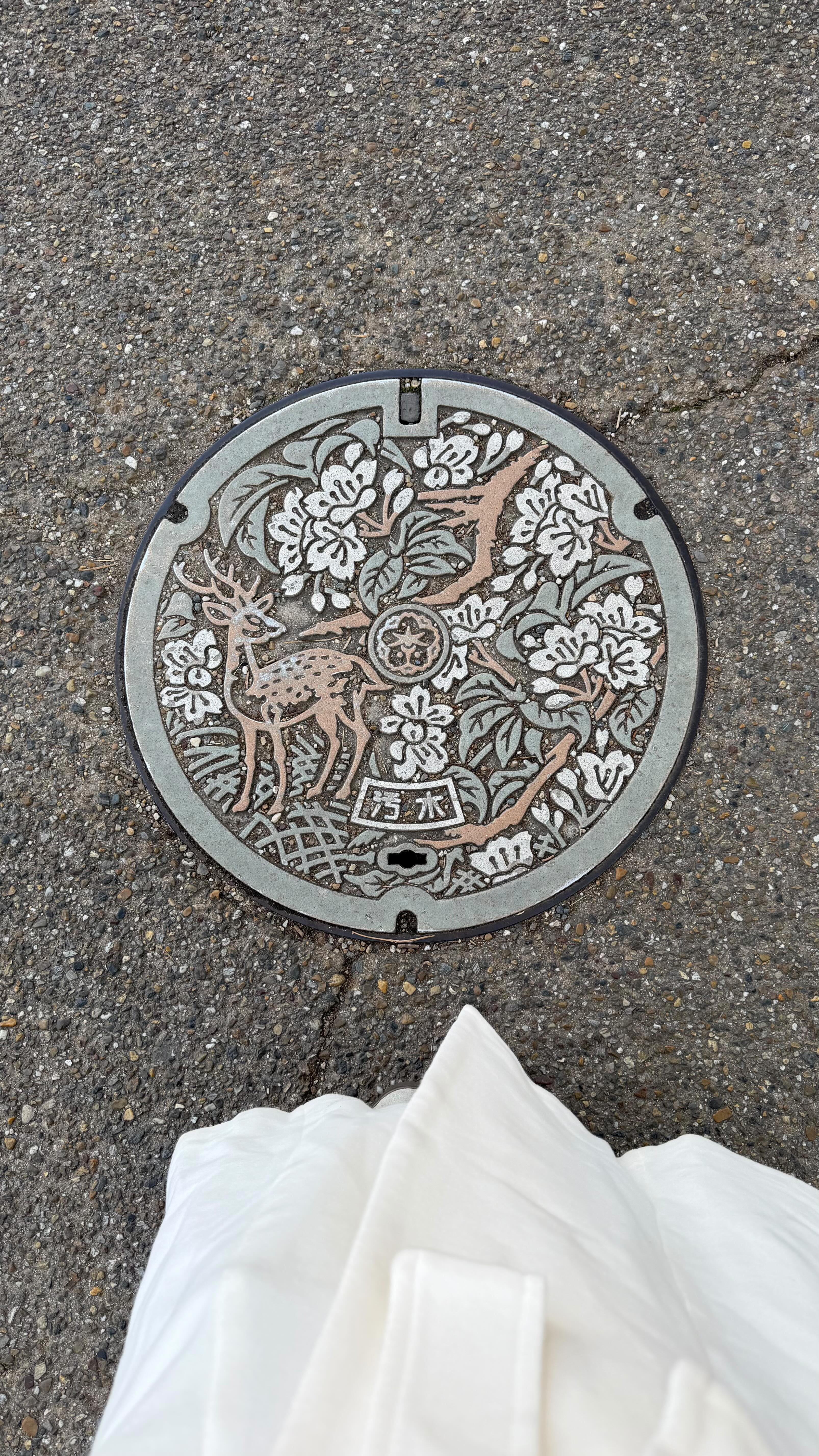 Nara's Temples, Deer, and Delicious Food