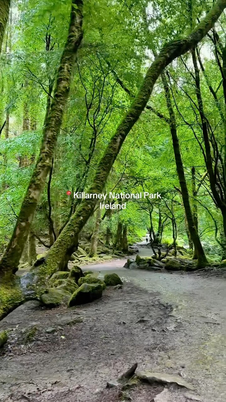 Killarney National Park's Natural & Historical Wonders