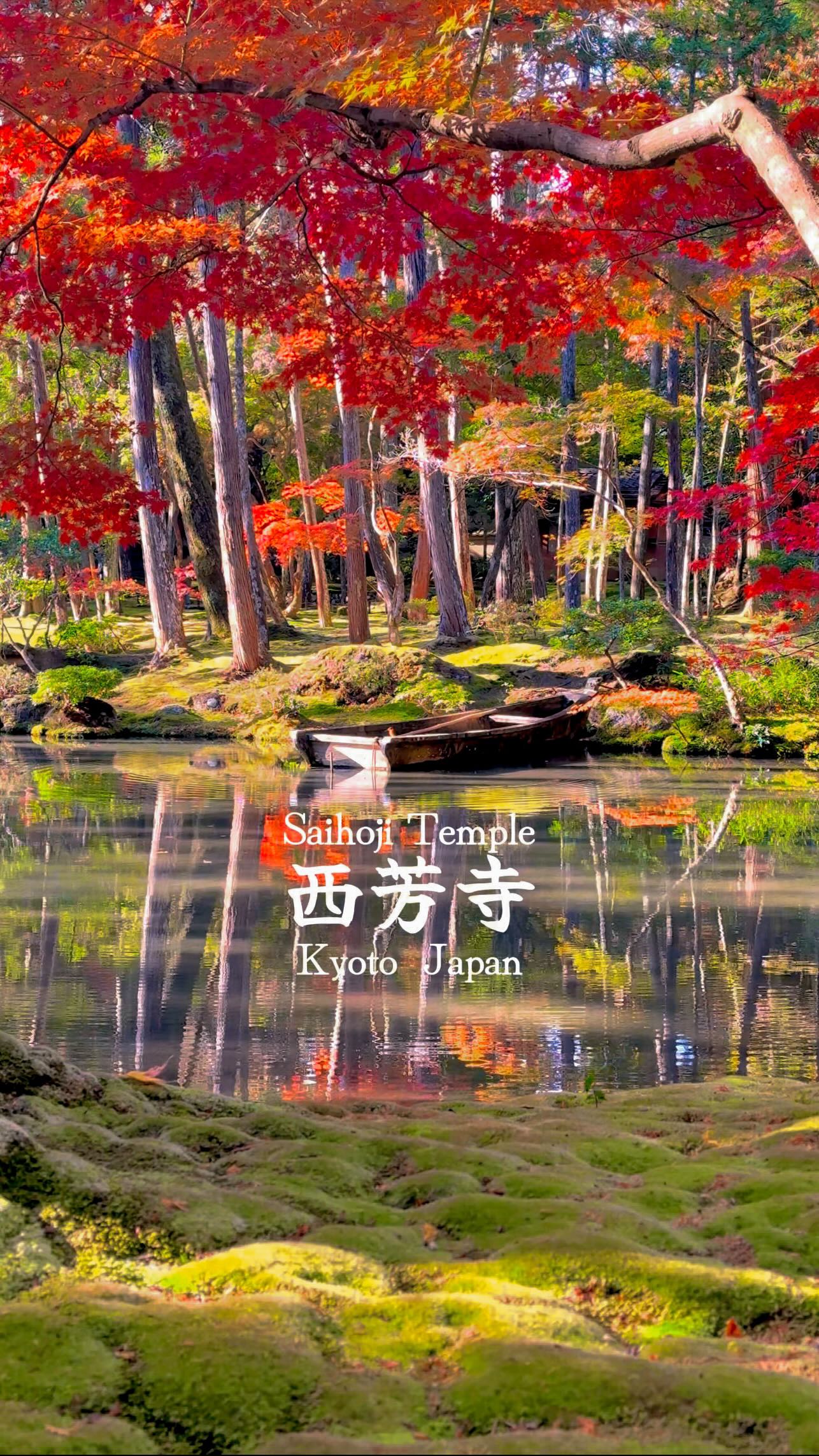 Saiho-ji Temple's Autumn Beauty