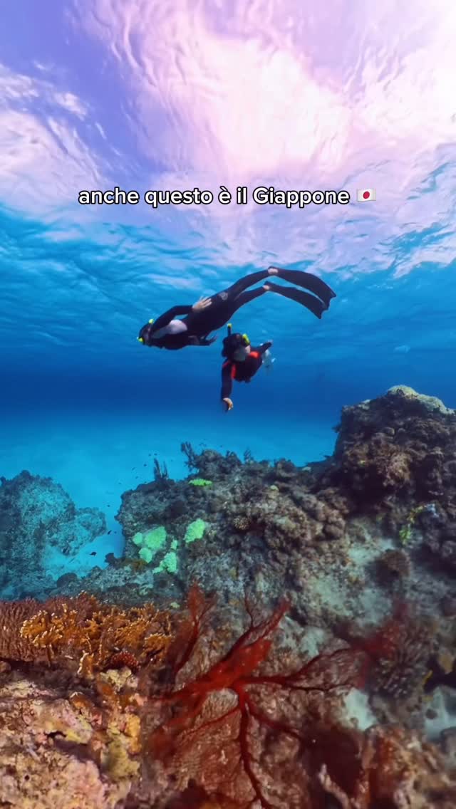 Okinawa Island's Natural Wonders And Attractions