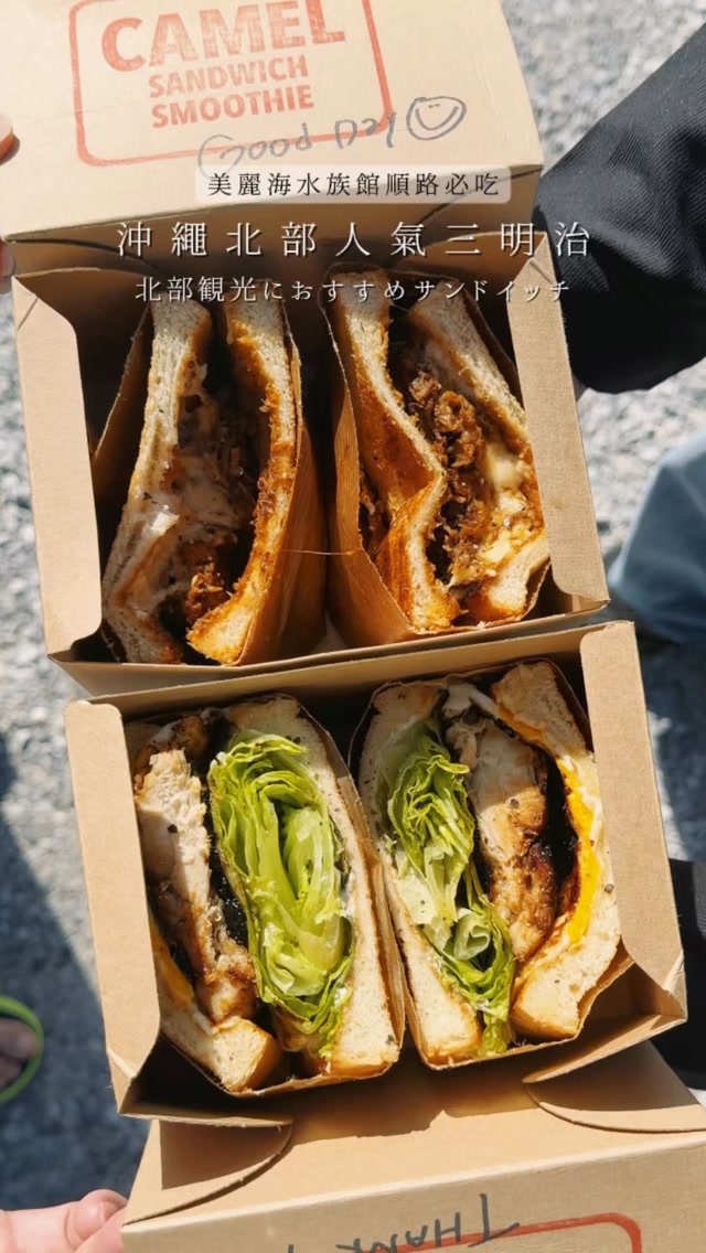 Okinawa Sandwich Shop Near Churaumi Aquarium