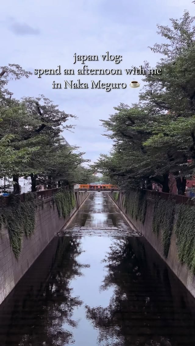 Tokyo's Nakameguro Canal Area Delights