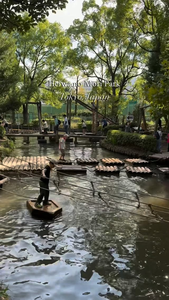 Tokyo Park With Forest Obstacle Course