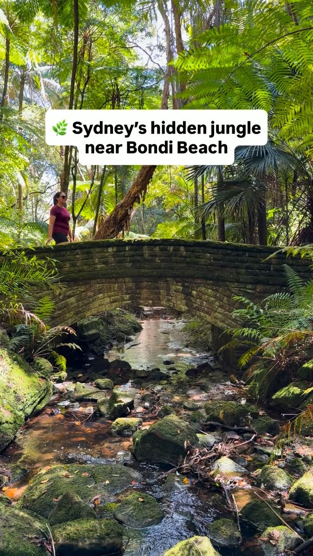 Sydney's Cooper Park Nature Escape Near Bondi