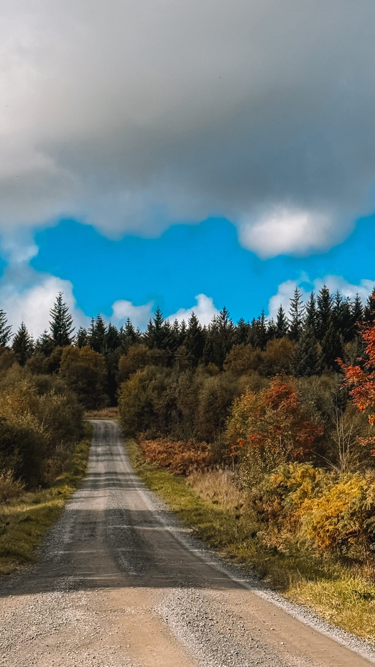 Northumberland's Kielder Forest Drive Offers Scenic Views